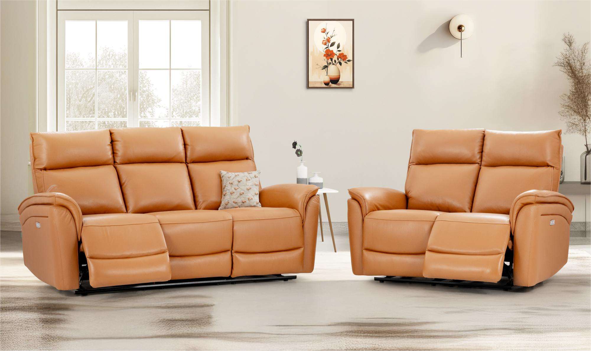 Leather Recliner
